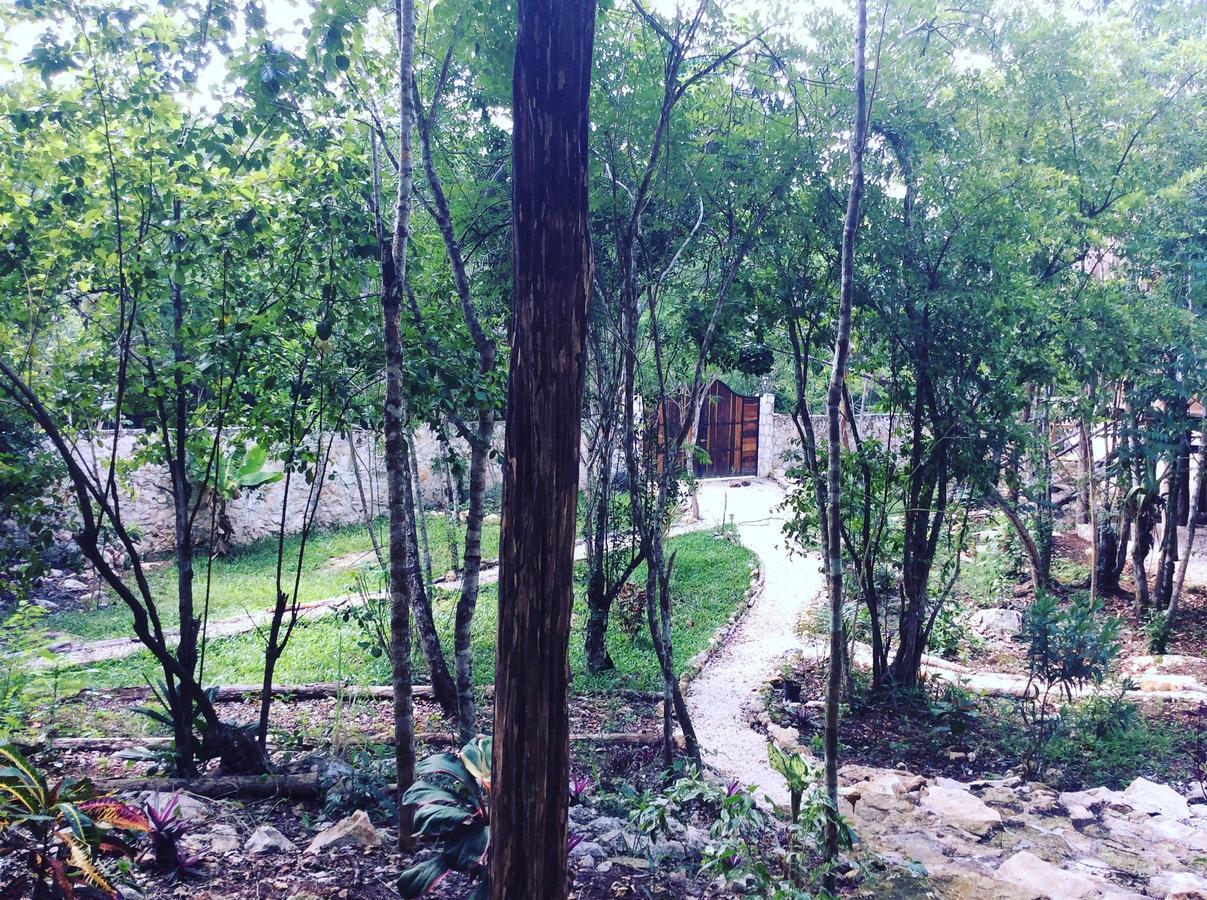 툴룸 Escarabajo Rojo B&B 외부 사진