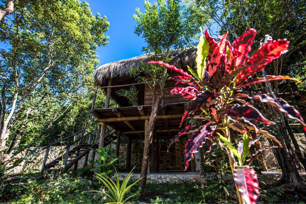 툴룸 Escarabajo Rojo B&B 외부 사진