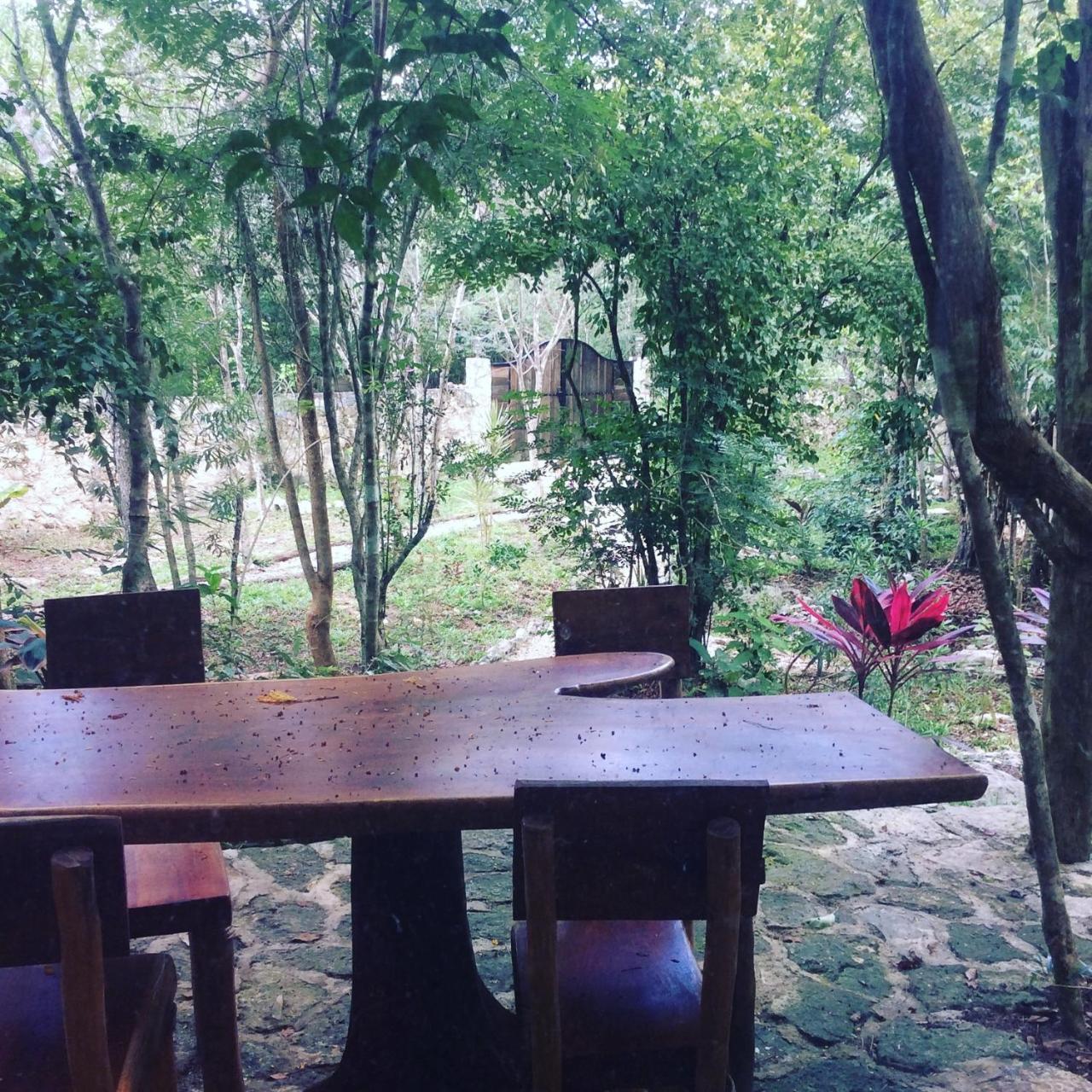 툴룸 Escarabajo Rojo B&B 외부 사진